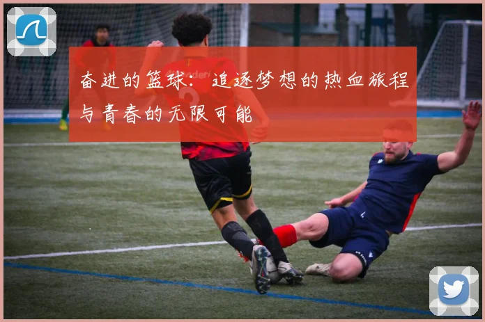 奋进的篮球：追逐梦想的热血旅程与青春的无限可能