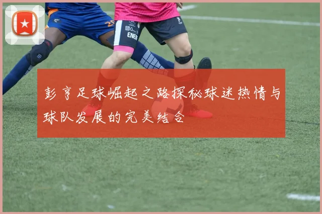 彭亨足球崛起之路探秘球迷热情与球队发展的完美结合