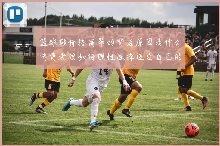 篮球鞋价格高昂的背后原因是什么消费者该如何理性选择适合自己的篮球鞋