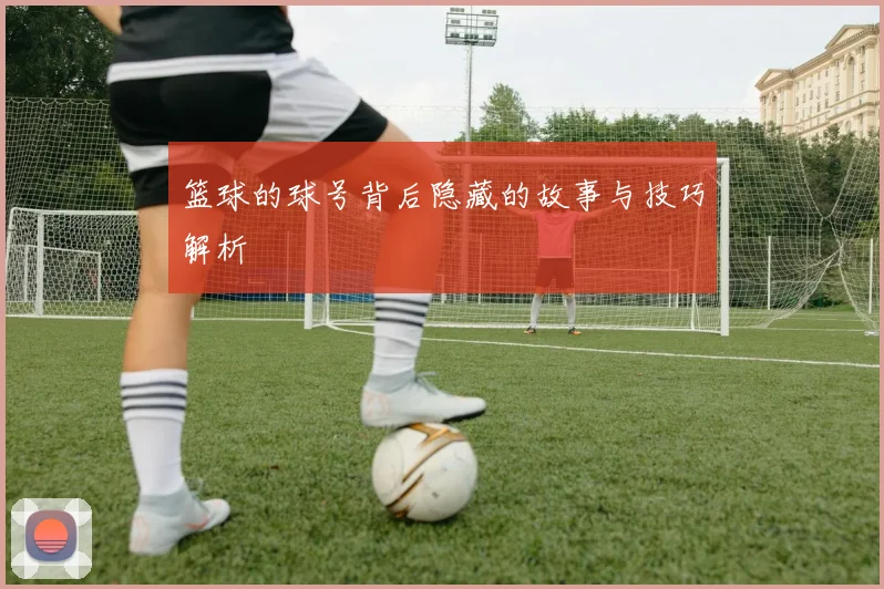 篮球的球号背后隐藏的故事与技巧解析